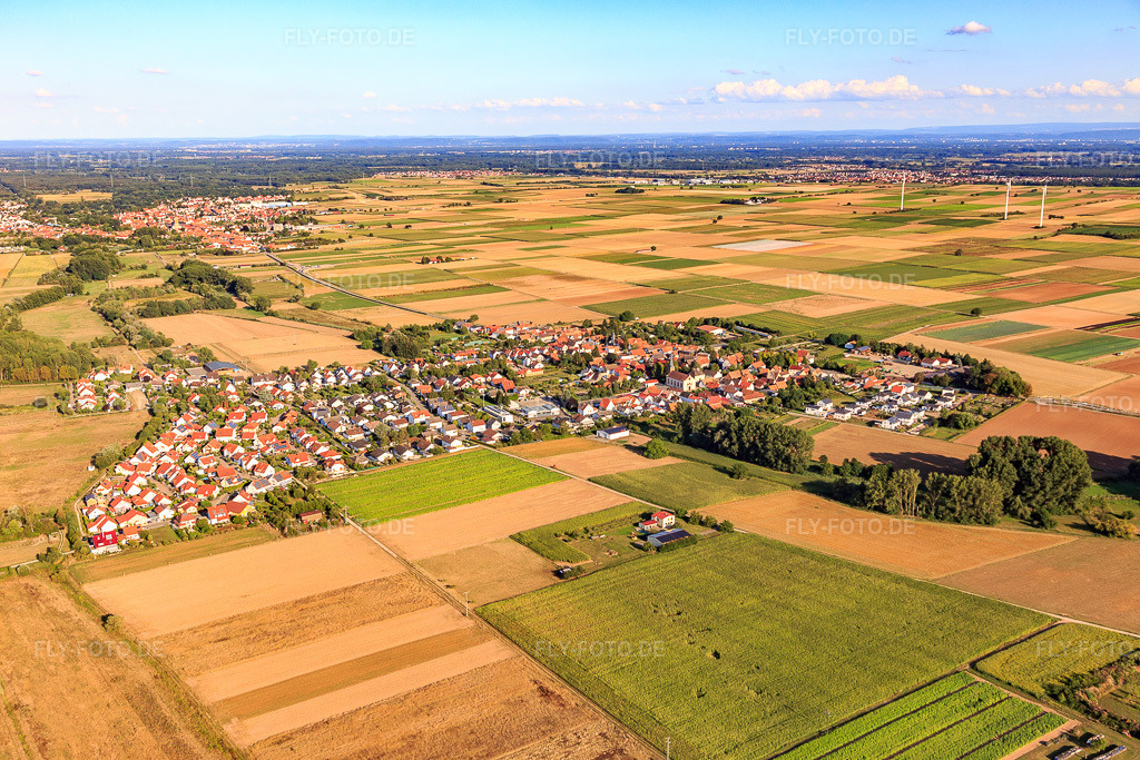 Luftbild: Ortsansicht von Westen in Knittelsheim im Bundesland Rheinland-Pfalz in Deutschland. Foto: IMG_116662.jpg vom 14.08.2019 durch Werner Riehm/FLY-FOTO.de
