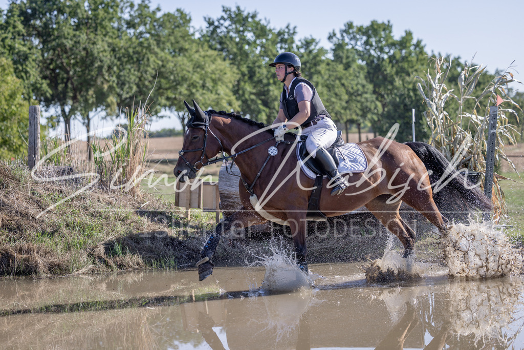 20260906-_3LI2022 | Tierfotografie Pferde, Hunde, Katzen, Haustiere.
Turnierfotografie Reitturniere, Reiten, Springreiten, Dressur in Hanau, dem Main-Kinzig-Kreis und dem Rhein-Main- Gebiet um Frankfurt