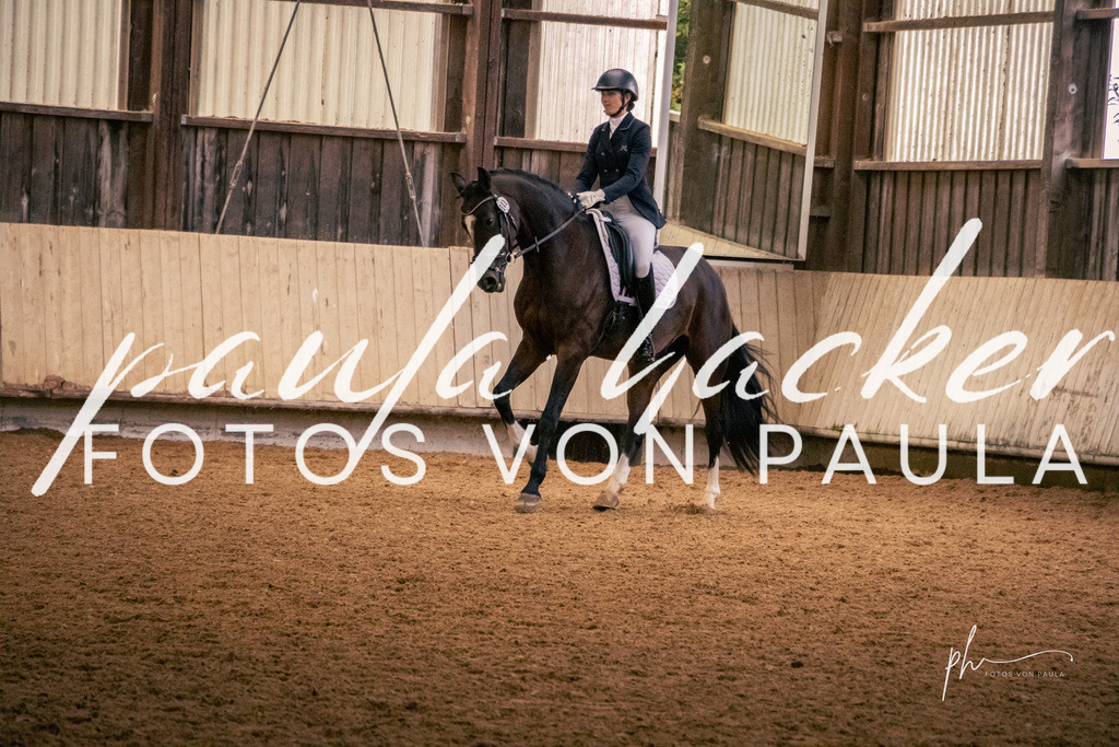 IMG_2563 | Erleben Sie dynamische Sport- und emotionale Tierfotografie in Süddeutschland mit Fotos von Paula. Spezialisiert auf Pferde- und Hundefotografie sowie Sportevents. Kontaktieren Sie mich für einzigartige und ausdrucksstarke Bilder Ihrer besonderen Momente. - Realisiert mit Pictrs.com