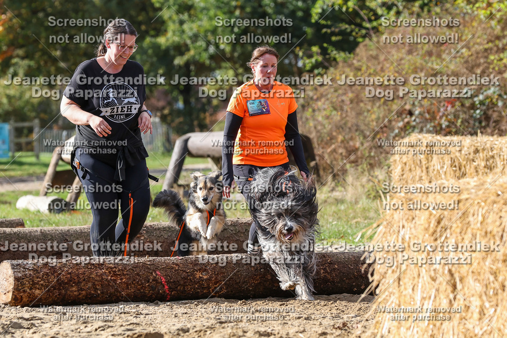 Dog Paparazzi - Strongdog 10-25-4996 | Dog Paparazzi Jeanette Grottendiek Fotografie & Videografie - Realisiert mit Pictrs.com