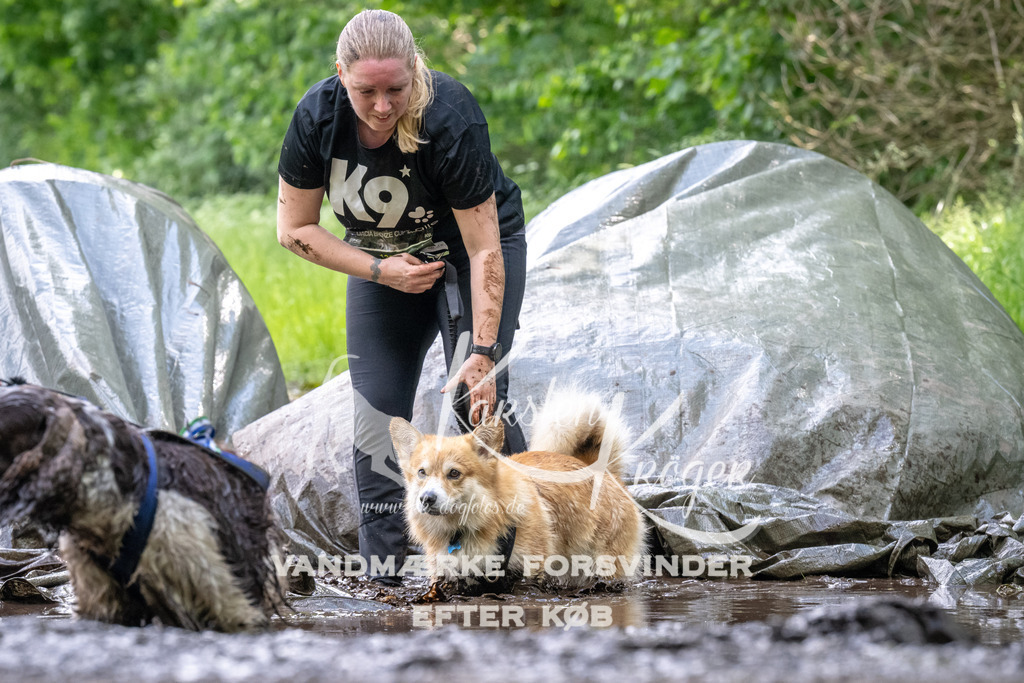 1240_ZZ92994 | kk-dogfotos