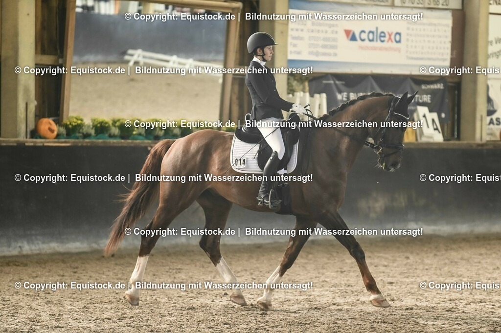 01_Dressur_A_Finale-Volksbank-Championat_0056 | Foto: Thomas Hartig