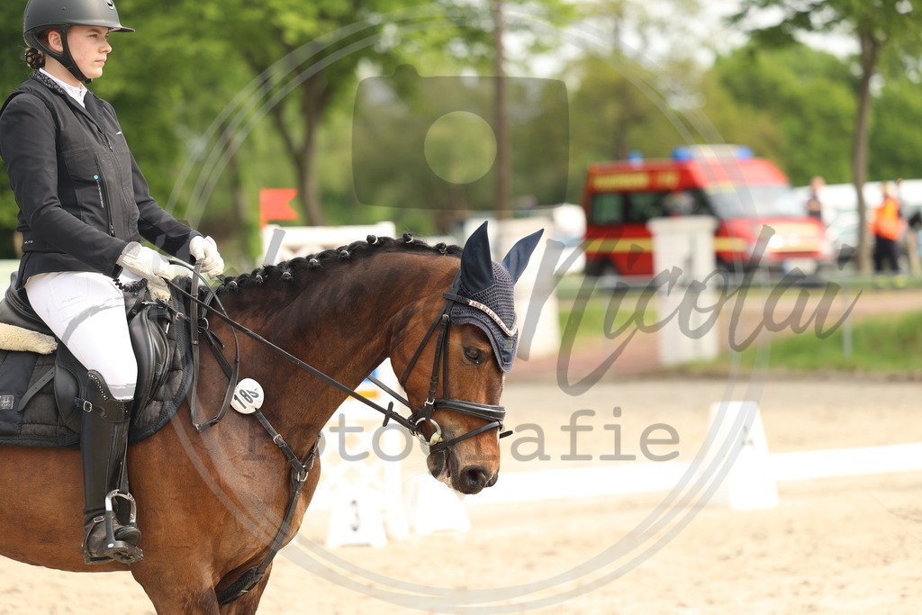 994A7761 | sabrinanicolaifotografie - Realisiert mit Pictrs.com