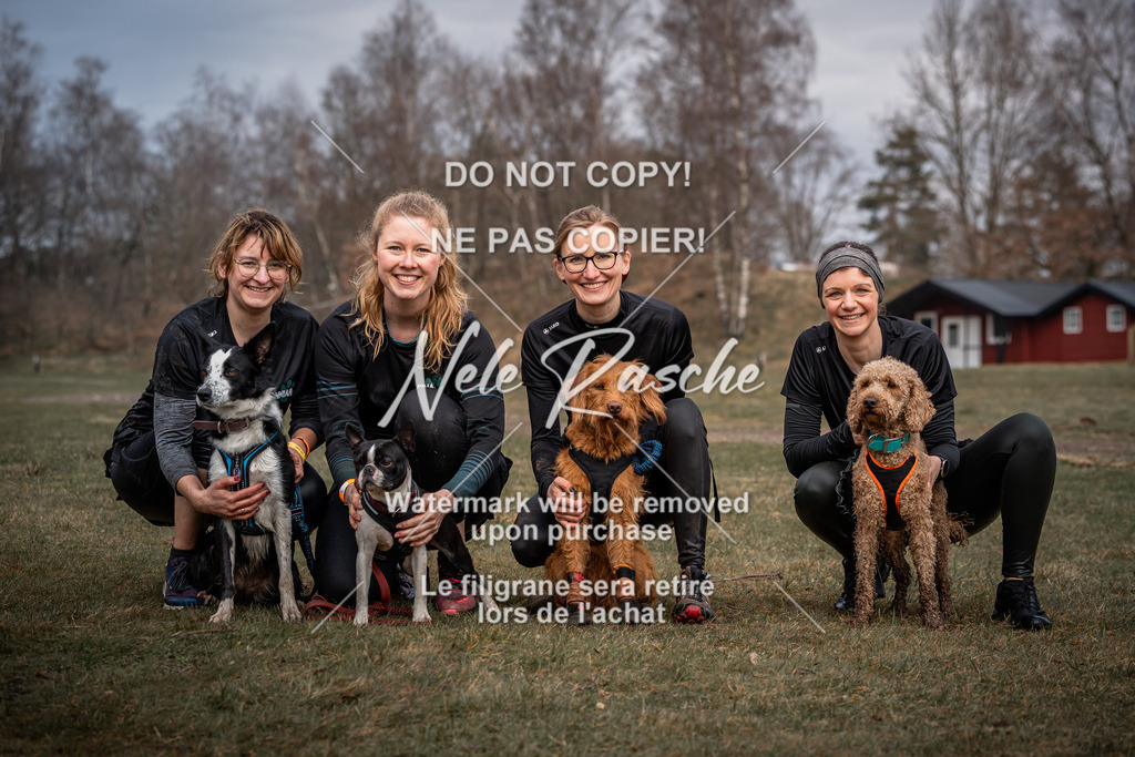 nelerasche_1330-1400_321 | nelerasche