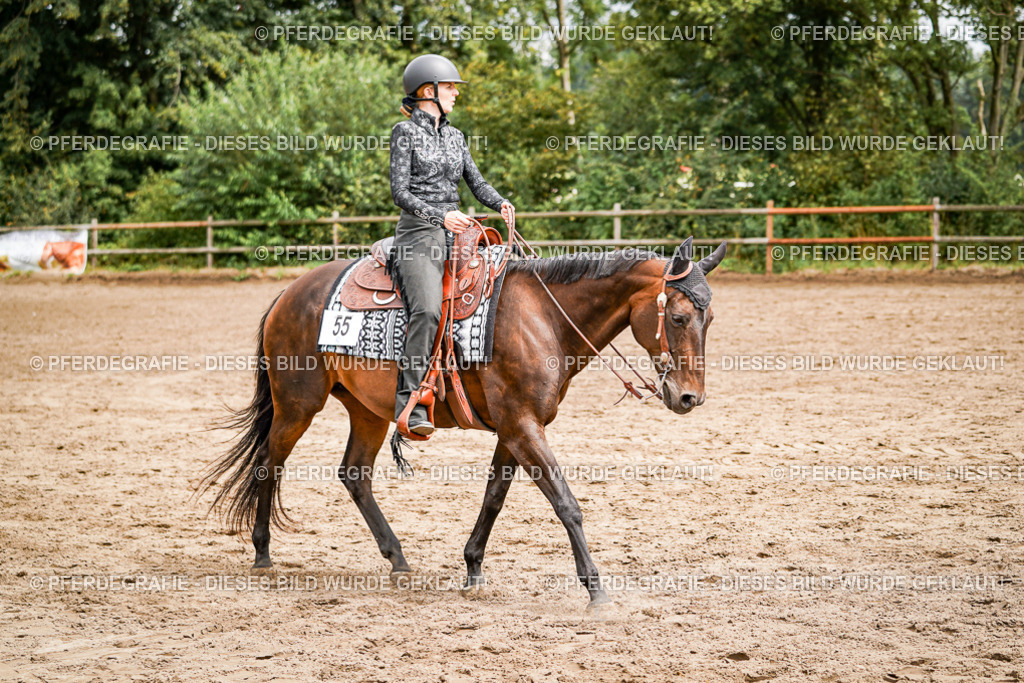 DSC04812 | Pferdegrafie