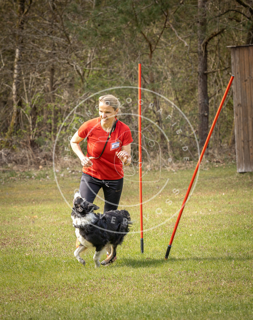 Pfotenfotografie_DV3A7686 | Hundefotografie, Tierfotograf, Pfotenfotografie, Fotoshooting Hund, Hunde Portrait, Hundesport, Hundeportraits, Heideshooting, Hunde, Sportfotograf, Hundefotograf, Turnierhundsport, THS,  - Realisiert mit Pictrs.com