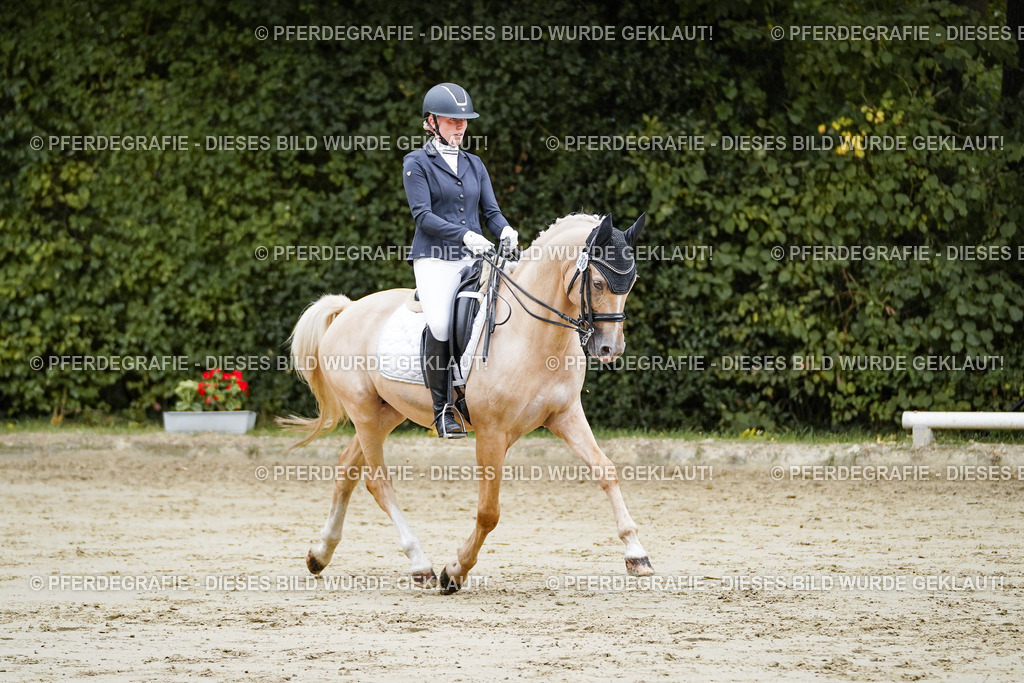 DSC08921 | Pferdegrafie