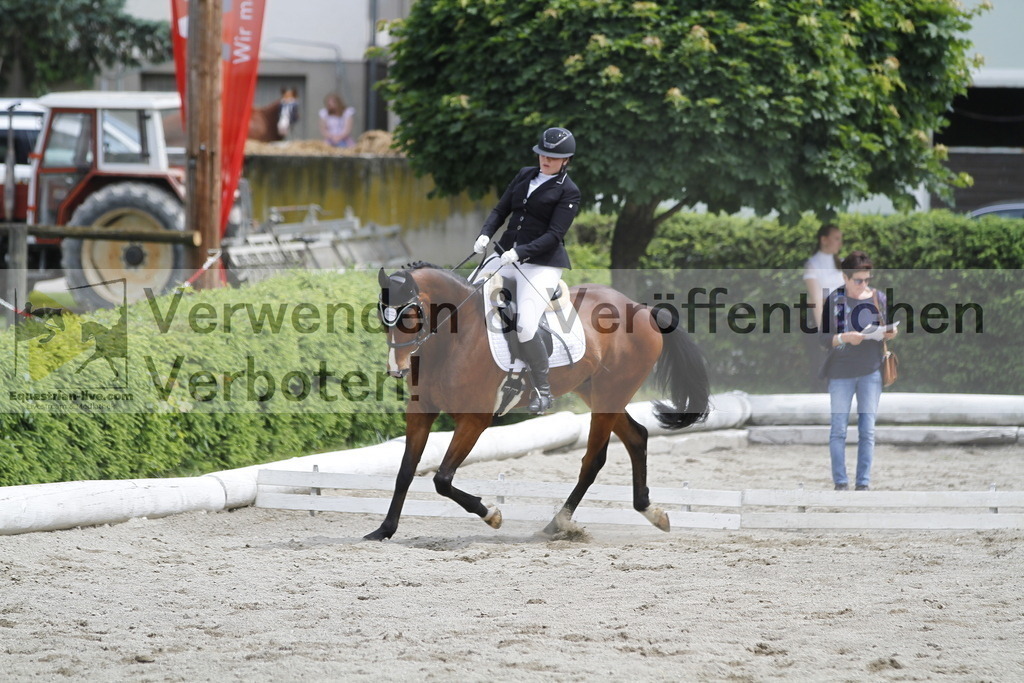 _MG_8862 | equestrian-live-com
