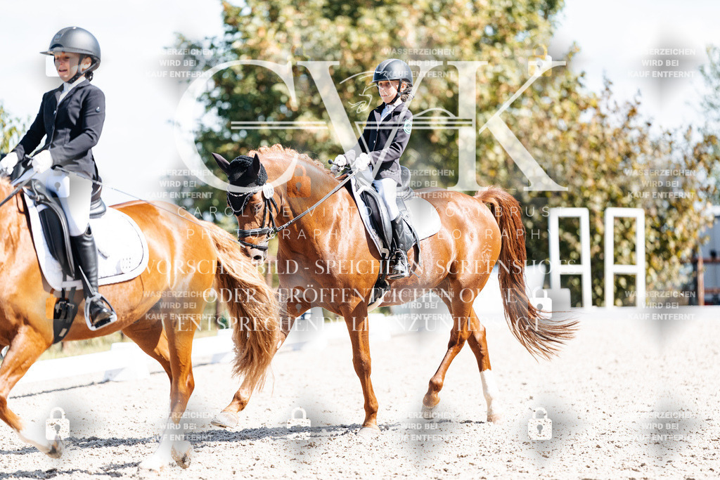 CK903054 | Turnierfotografie Pferdefotografie Trier Rheinland-Pfalz Pferdesport Reitsport Tierfotografie Sportfotografie Pferdevideo Pferdevideografie Equestrianvideography equestrianphotography  - Realisiert mit Pictrs.com