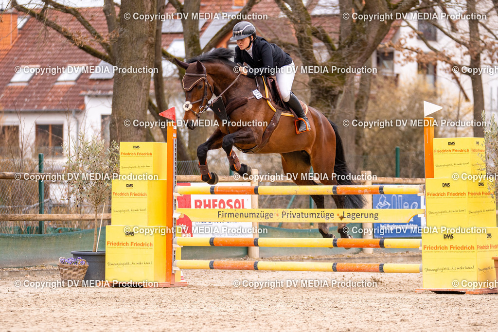 Kranichstein Tag 2-252 | dv-media-shop - Realisiert mit Pictrs.com