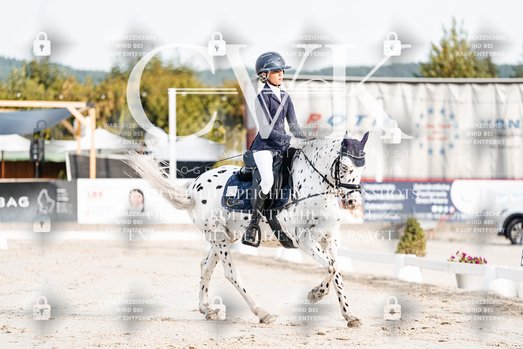 CK903671 | Turnierfotografie Pferdefotografie Trier Rheinland-Pfalz Pferdesport Reitsport Tierfotografie Sportfotografie Pferdevideo Pferdevideografie Equestrianvideography equestrianphotography  - Realisiert mit Pictrs.com
