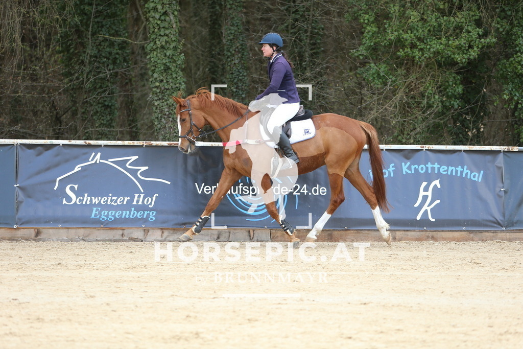 DL2Q8790 | Willkommen bei Brunnmayr - Design & Fotografie – Ihrem Spezialisten für Reitturniere und Pferdeveranstaltungen in Oberösterreich, Salzburg und Bayern! Seit über 17 Jahren sind wir leidenschaftlich dabei.