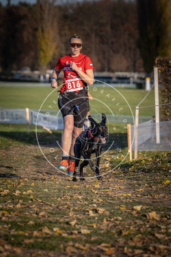 CaniXpix_DV3A3192 | Hundefotografie, Tierfotograf, Pfotenfotografie, Fotoshooting Hund, Hunde Portrait, Hundesport, Hundeportraits, Heideshooting, Hunde, Sportfotograf, Hundefotograf, Turnierhundsport, THS,  - Realisiert mit Pictrs.com