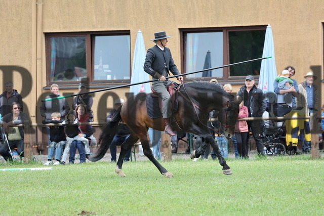 Hambrücken_2025_Showprogramm (27) | Alle Fotos der Reiterjournal Fotografin Doris Matthaes im Reiterjournal Online-Fotoshop. - Realisiert mit Pictrs.com