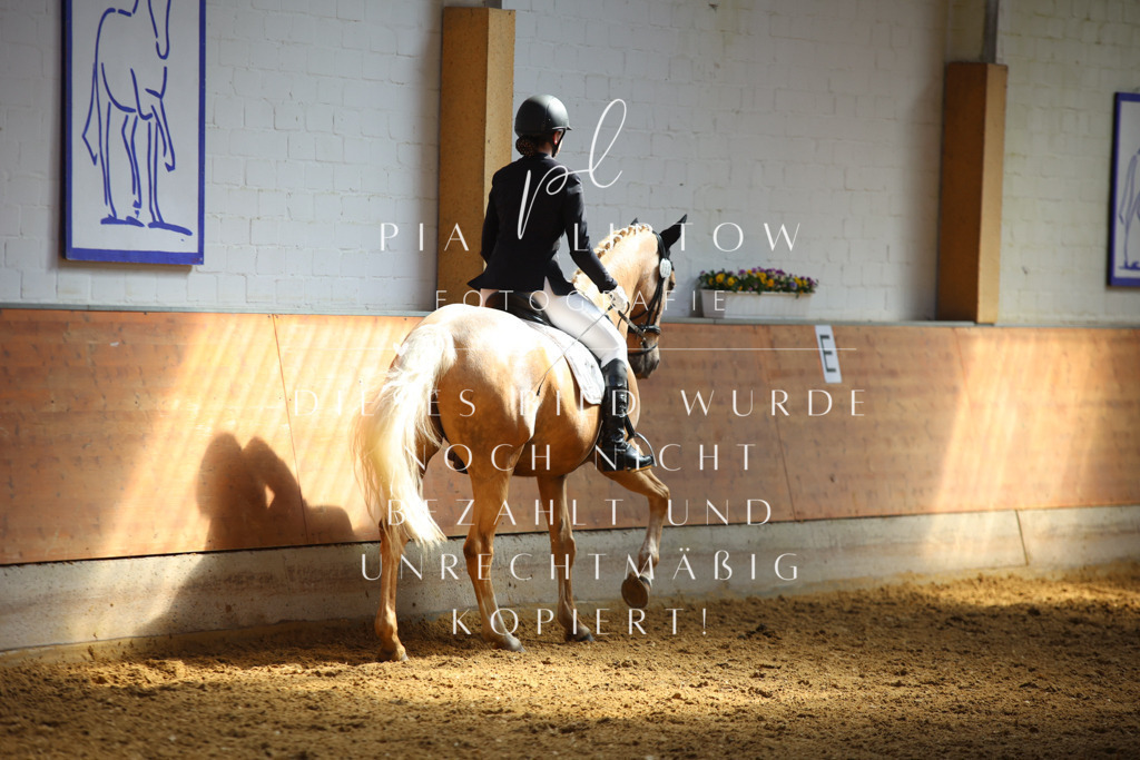 IMGT7261 | pl-fotografie