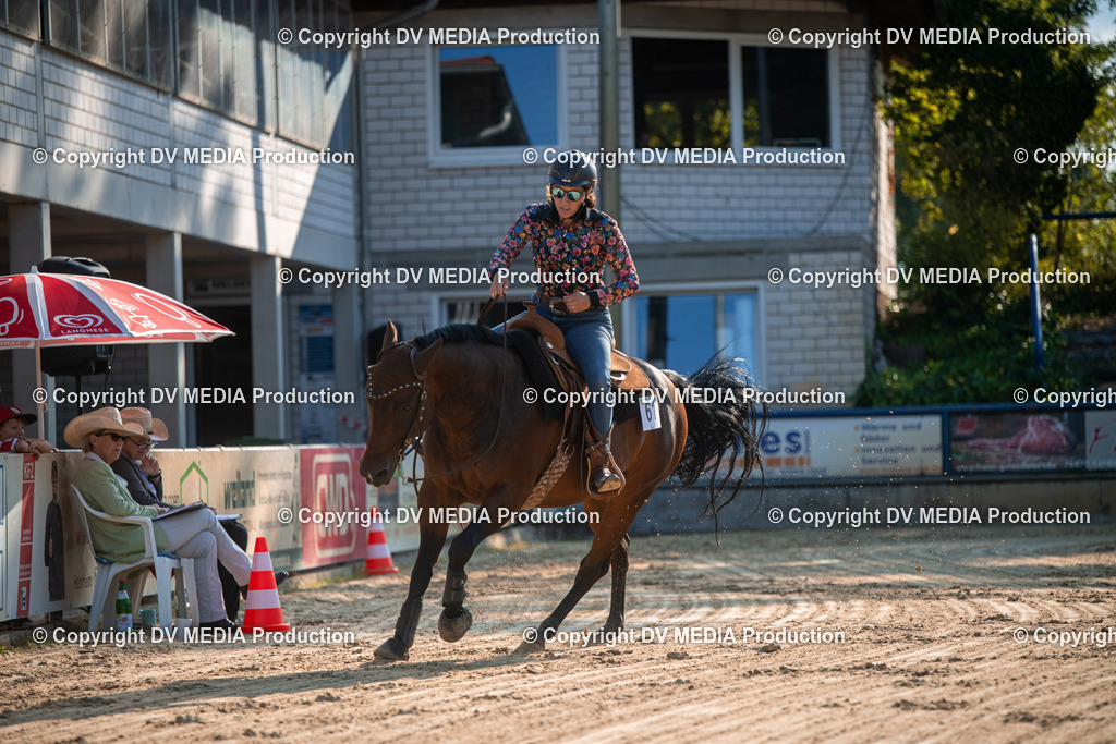 ZS2_8968 | dv-media-shop - Realisiert mit Pictrs.com