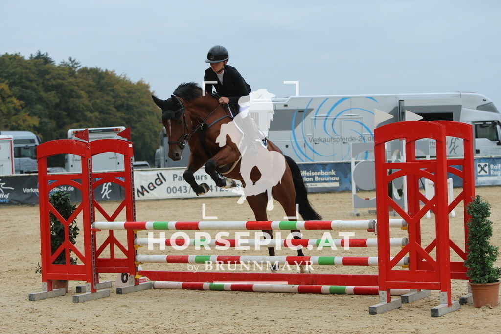 DL2Q4078 | Willkommen bei Brunnmayr - Design & Fotografie – Ihrem Spezialisten für Reitturniere und Pferdeveranstaltungen in Oberösterreich, Salzburg und Bayern! Seit über 17 Jahren sind wir leidenschaftlich dabei.