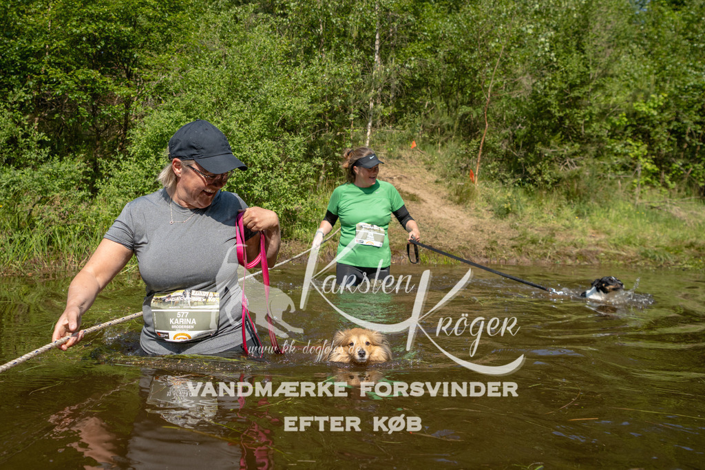 1024DKK990637 | kk-dogfotos