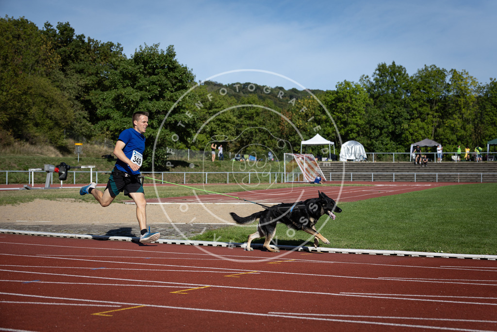 Pfotenfotografie_DV3A9177 | Hundefotografie, Tierfotograf, Pfotenfotografie, Fotoshooting Hund, Hunde Portrait, Hundesport, Hundeportraits, Heideshooting, Hunde, Sportfotograf, Hundefotograf, Turnierhundsport, THS,  - Realisiert mit Pictrs.com