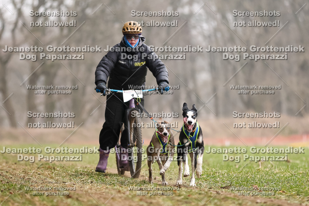 Dog Paparazzi - Plate 2026-36 | Dog Paparazzi Jeanette Grottendiek Fotografie & Videografie - Realisiert mit Pictrs.com