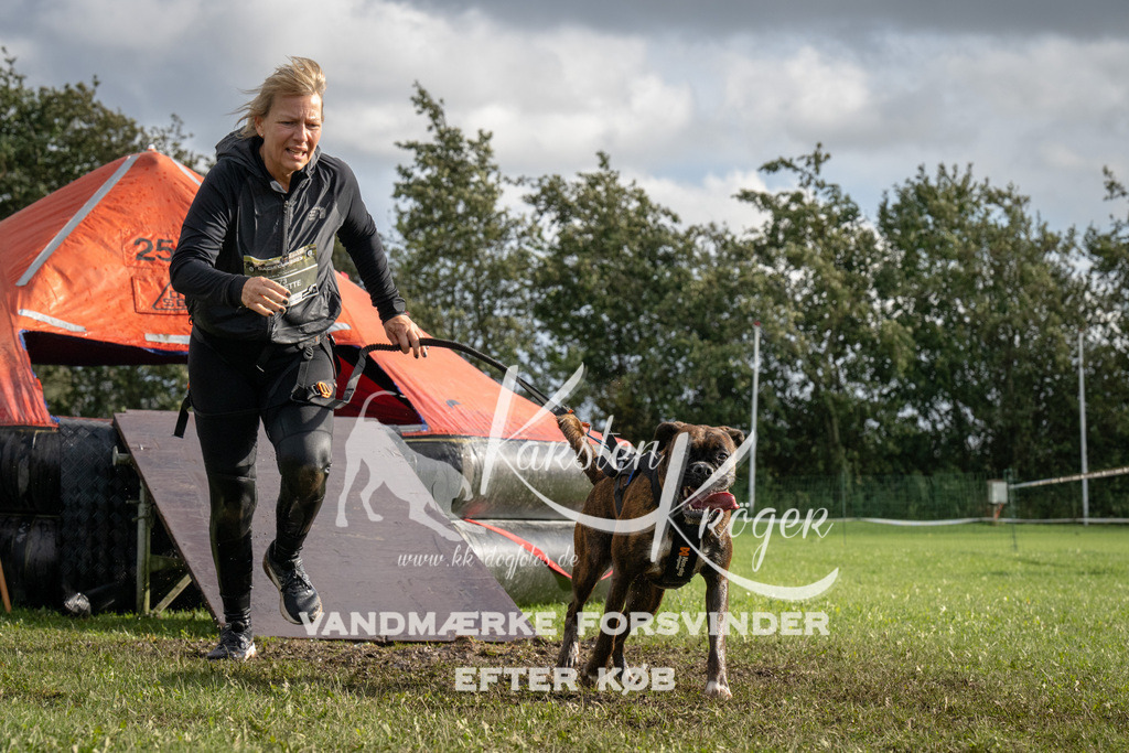 1421-94048 | kk-dogfotos