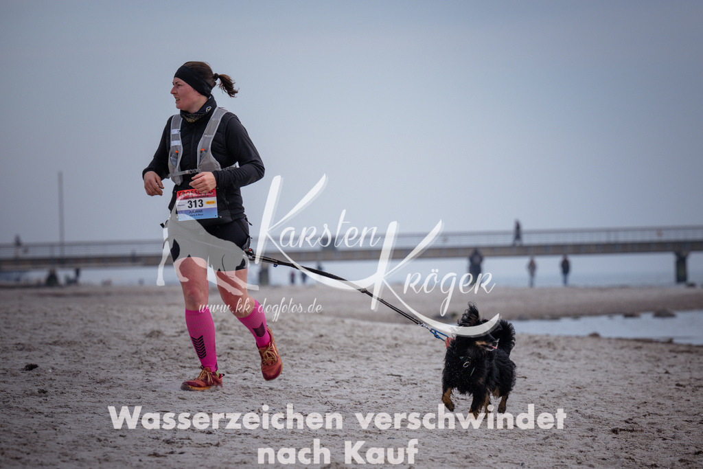 1138_ZZ99853 | kk-dogfotos