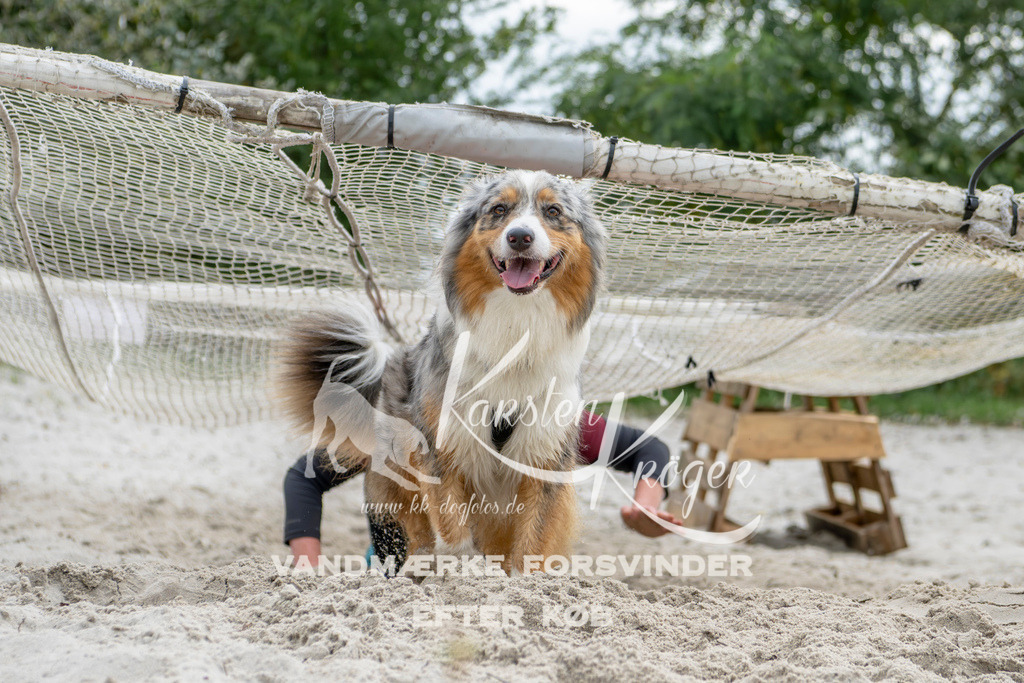 1533_ZZ95654 | kk-dogfotos