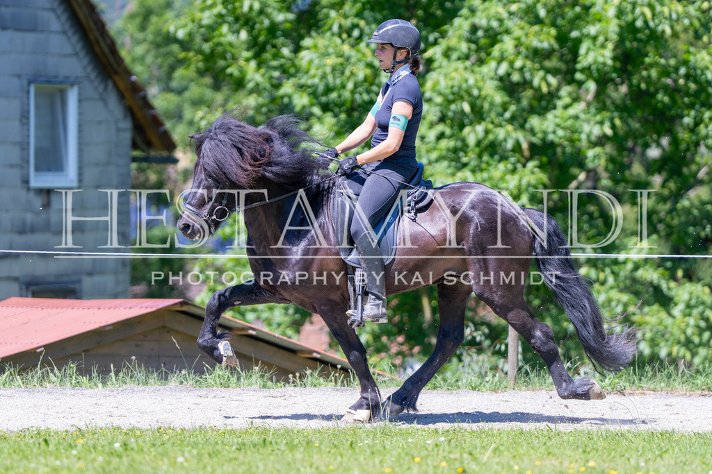 KAI09420 | Ihr sucht einen Fotografen für eure nächste OSI? Ich begleite auch euer Turnier für Islandpferde fotografisch.  - Realisiert mit Pictrs.com