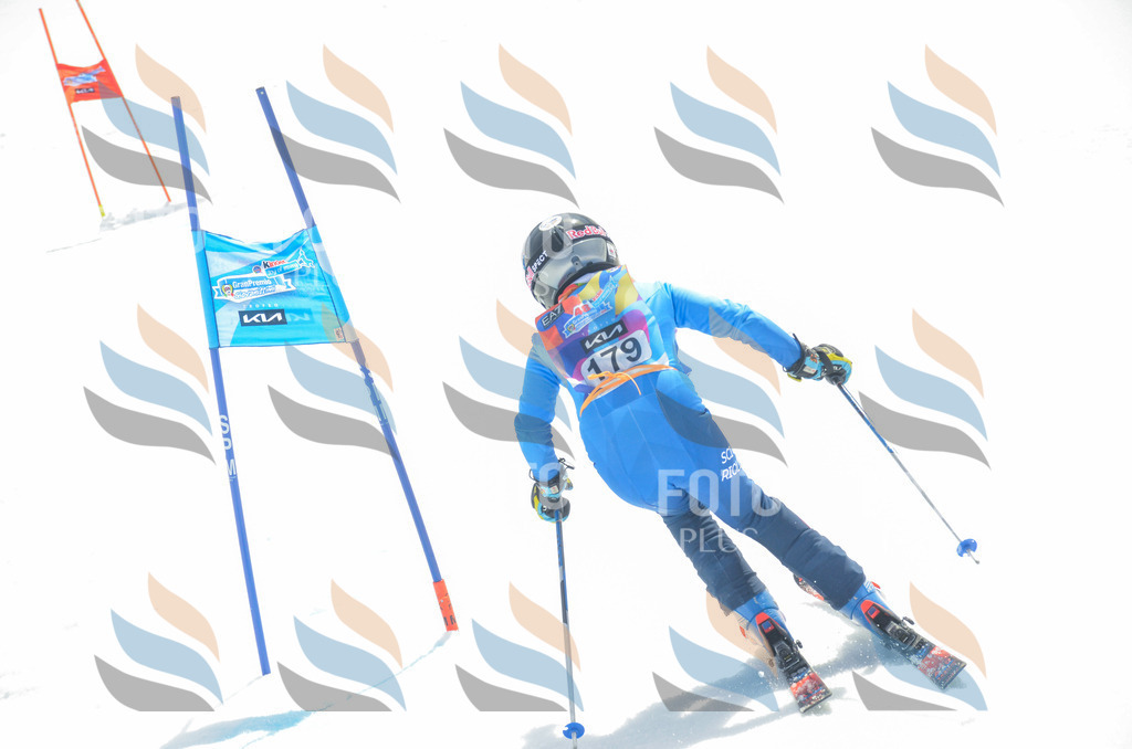 _ELE6660 | holidayphoto