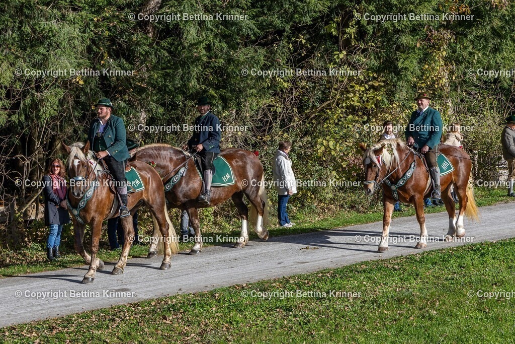 LBT24-941 | foto-bettina-krinner - Realisiert mit Pictrs.com
