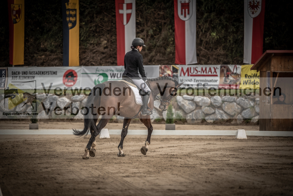 DSC_8356 | equestrian-live-com