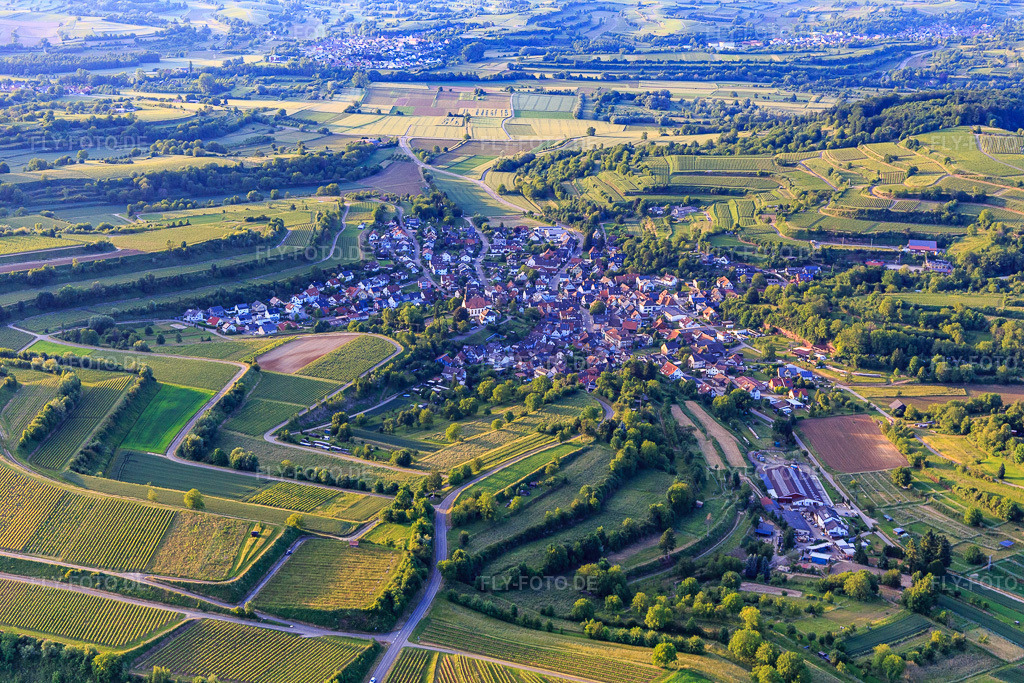 Luftbild: Winzerortansicht aus Nordosten in Malterdingen im Bundesland Baden-Württemberg in Deutschland. Foto: IMG_147448.jpg vom 29.05.2025 durch Werner Riehm/FLY-FOTO.de