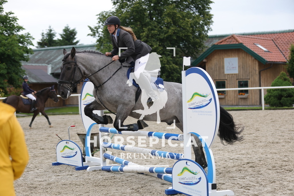0P6A8287 | Willkommen bei Brunnmayr - Design & Fotografie – Ihrem Spezialisten für Reitturniere und Pferdeveranstaltungen in Oberösterreich, Salzburg und Bayern! Seit über 17 Jahren sind wir leidenschaftlich dabei.