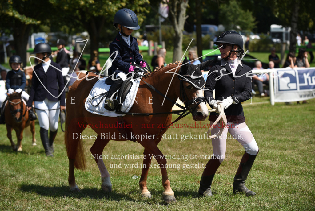 DSC_9848 | Pferde- und Turnierfotografie in Westsachsen. Pferdeportraits, Auftragszeichnungen und intuitive Kunst.