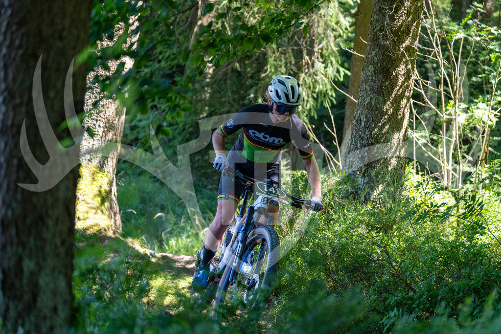 _DSC6000 | Fotogalerie der Treibjagd im Dunkelwald - Dein MTB Etappenrennen im Erzgebirge - Realisiert mit Pictrs.com