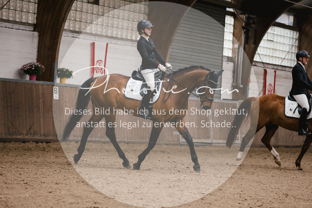 3I6A7195 | Stimmungsvolle Portraits und Reitsportfotografie im Ruhrgebiet und im Münsterland.

Pferdefotografie, Hundefotografie, Tierfotografie, Reportagen, Portraits von Tier und Mensch, Turnierfotografie in Bochum, Recklinghausen, Marl, Haltern am See, Dülmen.. - Realisiert mit Pictrs.com