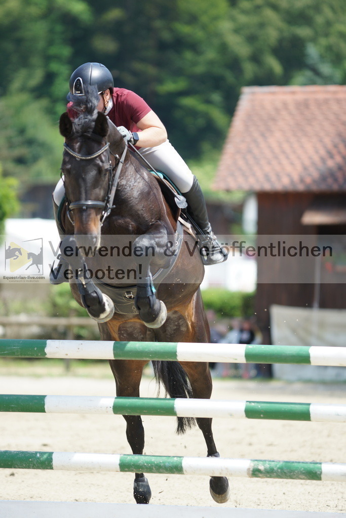 DSC00659 | equestrian-live-com