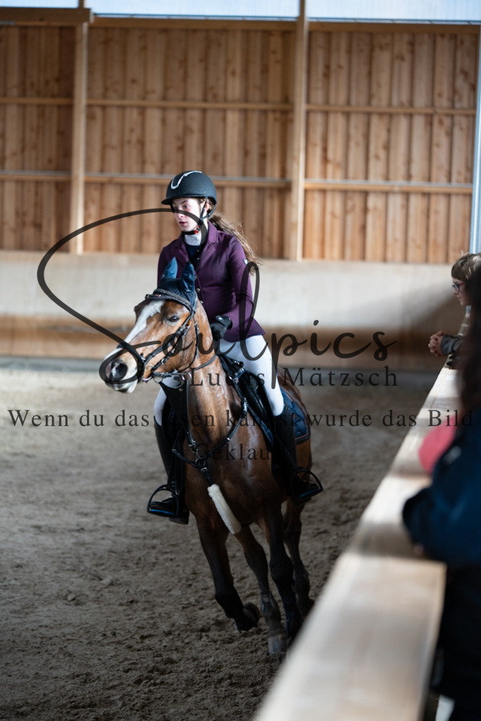 A7V00924 | Pferdefotograf