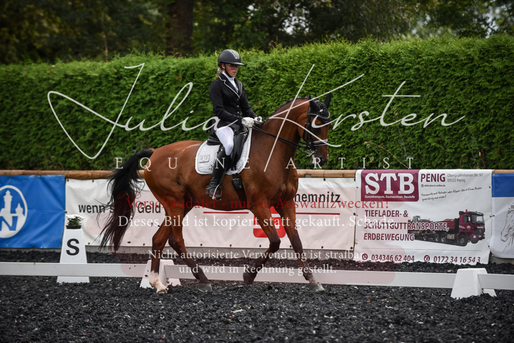 DSC_5001 | Pferde- und Turnierfotografie in Westsachsen. Pferdeportraits, Auftragszeichnungen und intuitive Kunst.