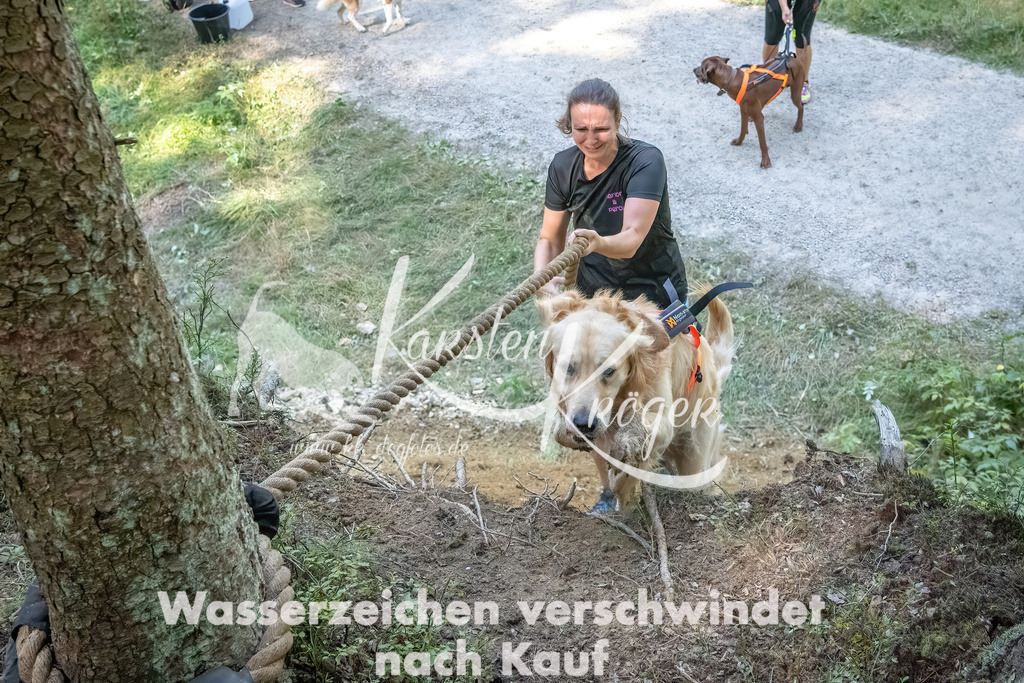 1155_ZZ92568 | kk-dogfotos