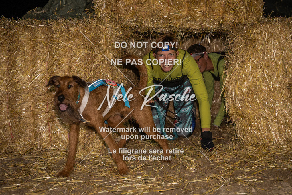 nelerasche_FrNacht_479 | nelerasche