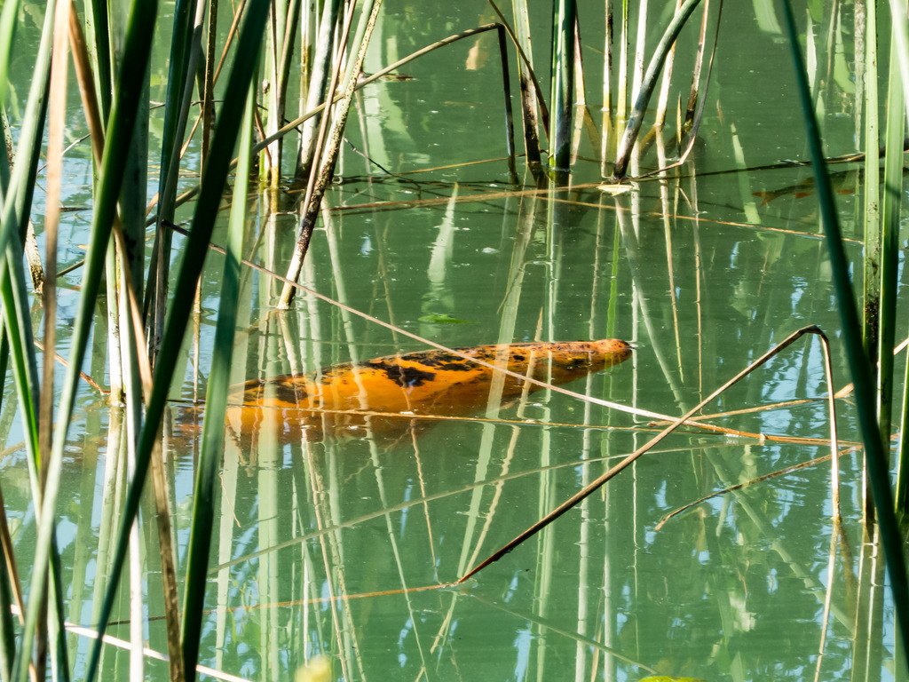 PSX_20230908_221207 | mtkfoto_ - Realisiert mit Pictrs.com