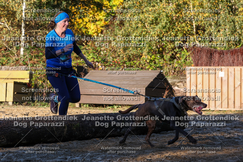 Dog Paparazzi - Strongdog 10-25-1051 | Dog Paparazzi Jeanette Grottendiek Fotografie & Videografie - Realisiert mit Pictrs.com