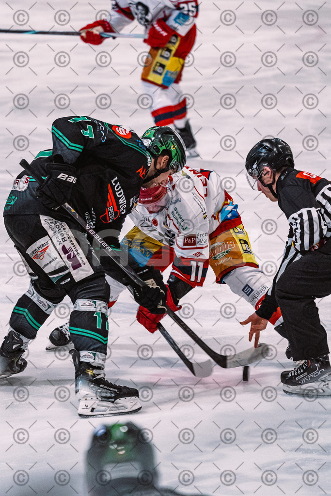 Alligators_vs_Deggendorf_23_01_2026-11 | Höchstadt Alligators Fotogalerie: Eishockey-Action aus Franken. Professionelle Spielfotos, Portraits & Stadionbilder zum Download. Jetzt entdecken! - Realisiert mit Pictrs.com