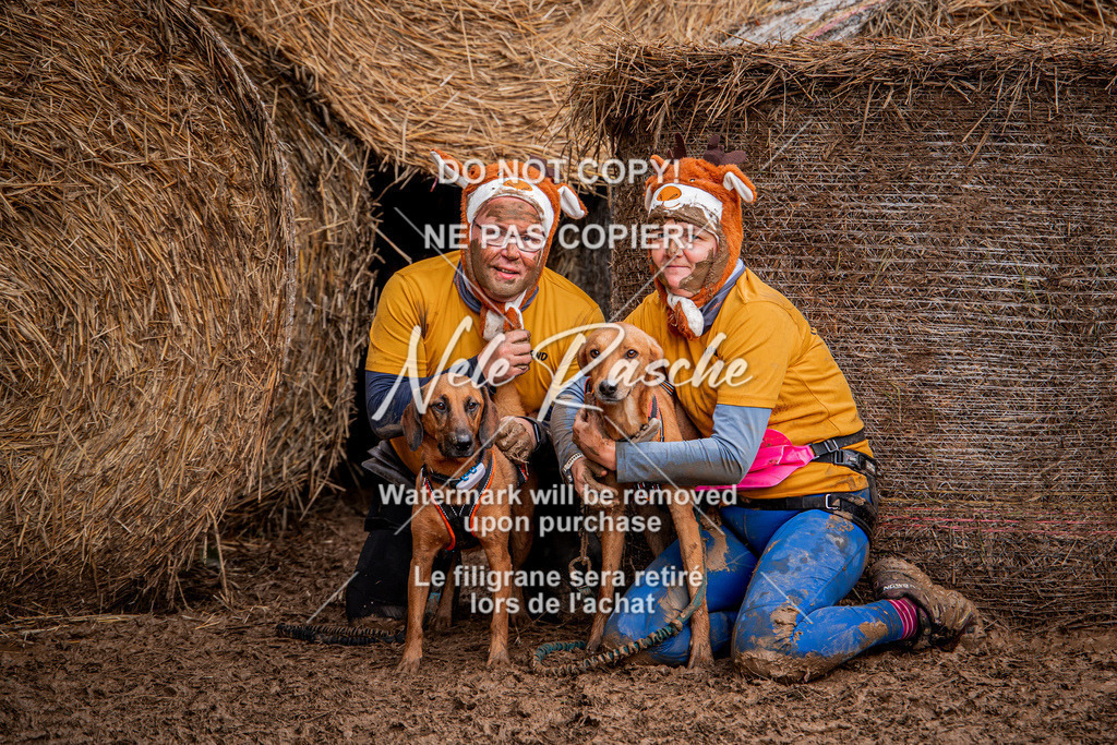 nelerasche_Hunsrück_So09-11_394 | nelerasche