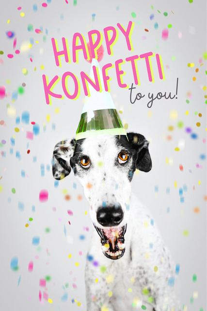 Patchs Happy Konfetti | Lizbeth Hundefotografie