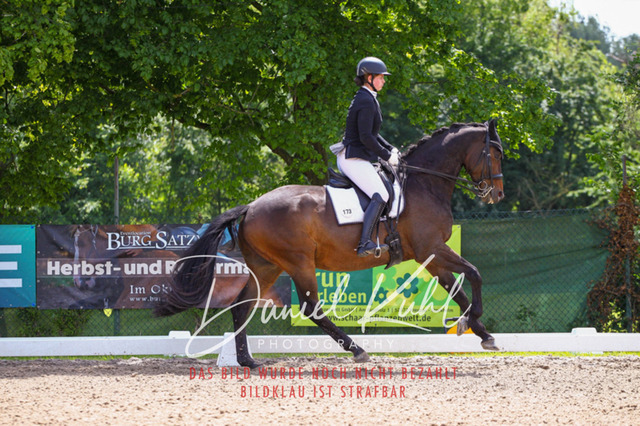 DKP41009 | Turnierfotos kaufen im Webshop von Daniel Kuhl Photography – entdecke professionelle Reitsportfotos aus Turnieren & Events. Hochwertige Turnierbilder online bestellen & sichern. Jetzt Fotos von Reitsportturnieren kaufen!
