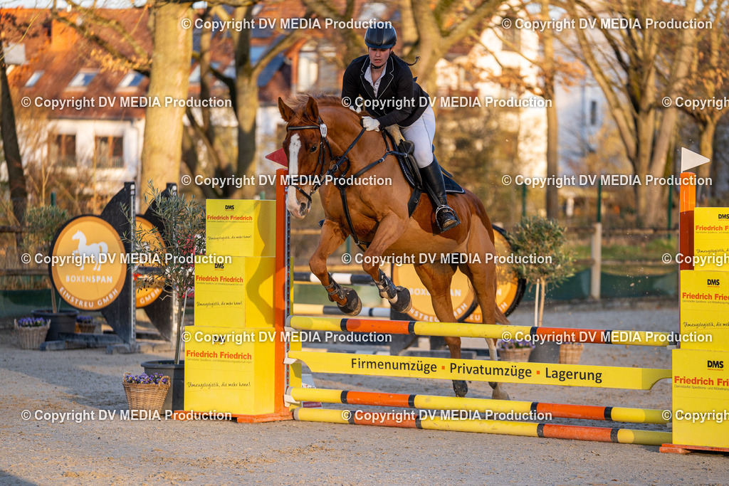 DSC-255 | dv-media-shop - Realisiert mit Pictrs.com