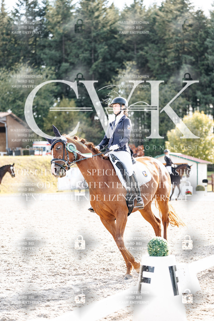 CK901797 | Turnierfotografie Pferdefotografie Trier Rheinland-Pfalz Pferdesport Reitsport Tierfotografie Sportfotografie Pferdevideo Pferdevideografie Equestrianvideography equestrianphotography  - Realisiert mit Pictrs.com