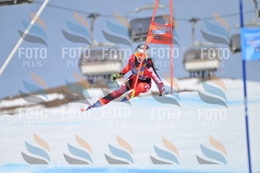 BGV_0603 | holidayphoto